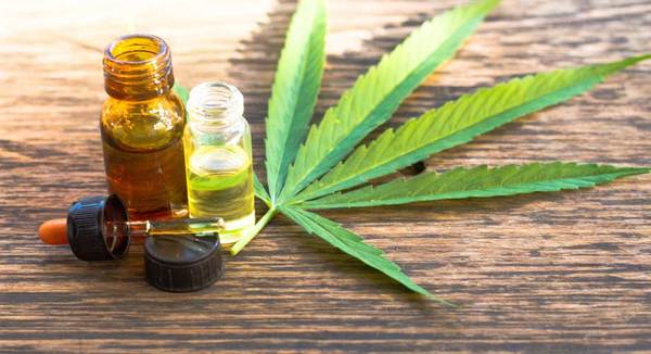 Desde el ministerio de Salud se afirma que transparencia es la base del proceso de industrialización del cannabis