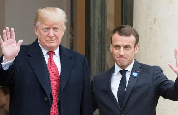 El árbol que plantaron Trump y Macron en la Casa Blanca se murió - C9N