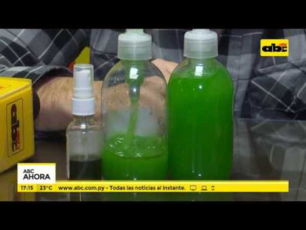 Analizan industrialización del cannabis - Tv - ABC Color