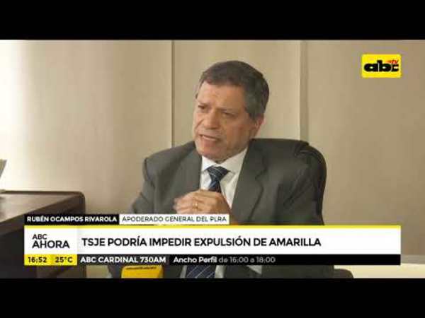 TSJE podría impedir expulsión de Amarilla del PLRA - Tv - ABC Color