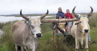 En lancha y en carreta, por su misión
