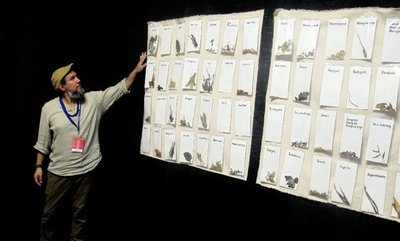Nueva convocatoria del proyecto Invernadero - Espectaculos - ABC Color
