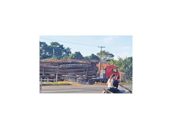 Imparable deforestación preocupa a pobladores