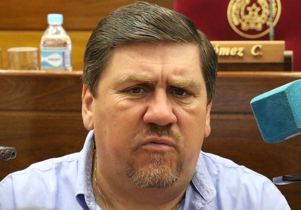 Consenso en Senado en torno a Blas Llano