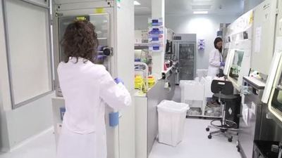 Crean nuevo fármaco oncológico que evita la metástasis y reduce el tumor | .::Agencia IP::.