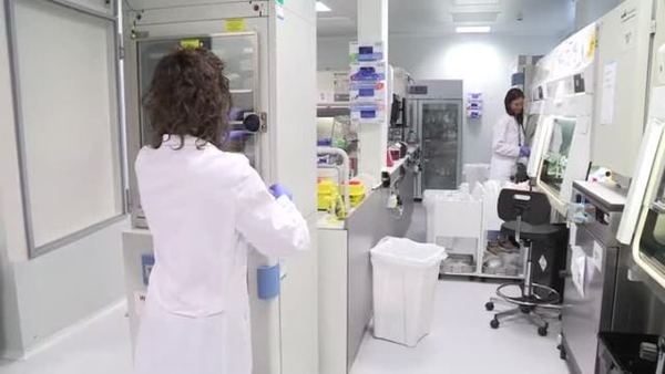Crean nuevo fármaco oncológico que evita la metástasis y reduce el tumor | .::Agencia IP::.