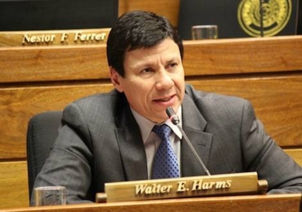 Diputado Walter Harms: "¿Cómo yo voy a subsistir con 4 millones?" » Ñanduti
