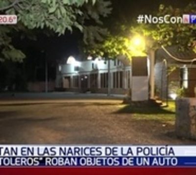 Nuevo golpe de tortoleros en las narices de la Policía - Paraguay.com
