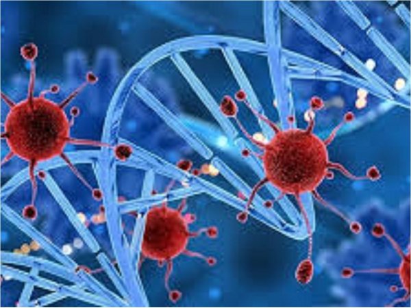 Descubren cómo tumores hepáticos resisten inmunoterapia