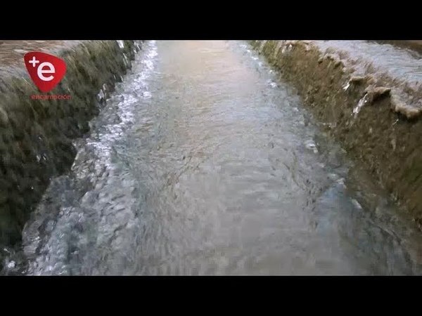 VERIFICAN CALIDAD DEL AGUA EN ITAPÚA
