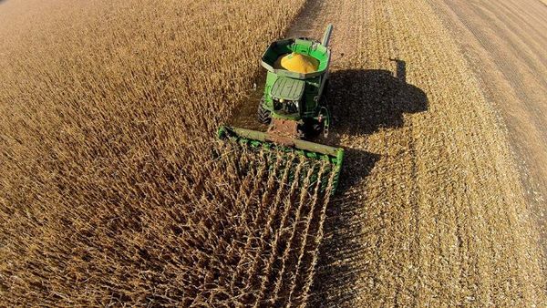 Argentina pretende exportar maíz a México