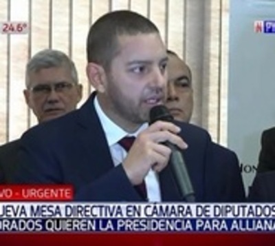 Oficialistas y cartistas dan apoyo a Alliana para presidir Diputados - Paraguay.com
