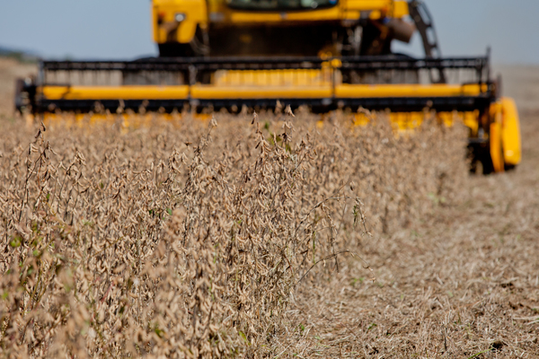 Brasil: Cosecha de granos podría superar las 238 millones de toneladas