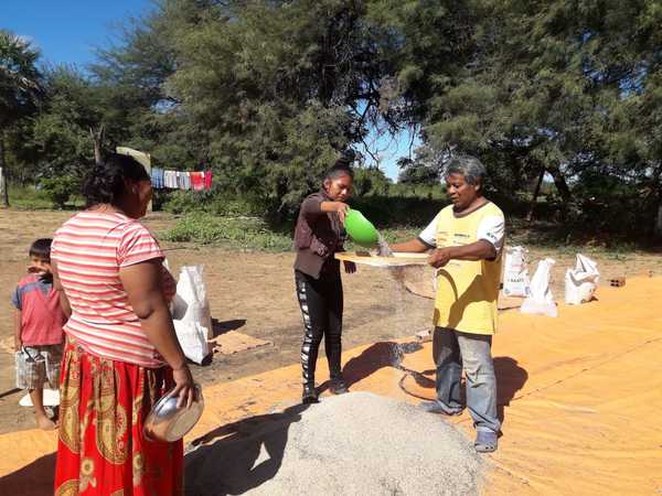 Productores indígenas obtienen excelentes resultados en el Chaco - ADN Paraguayo