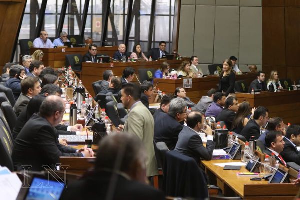 Miembros del Congreso y de la Corte no podrán asumir cargos en universidades