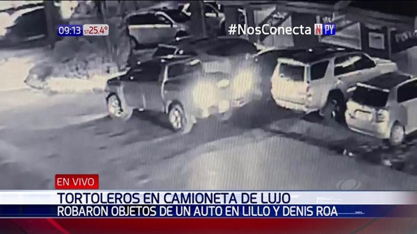 Tortolean vehículos a bordo de una camioneta del año | Noticias Paraguay