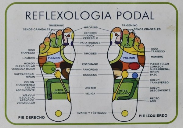 Congreso internacional de medicina integrativa - Estilo De Vida - ABC Color