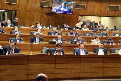 Diputados sancionan creación de comisión especial para monitorear crisis comercial - ADN Paraguayo