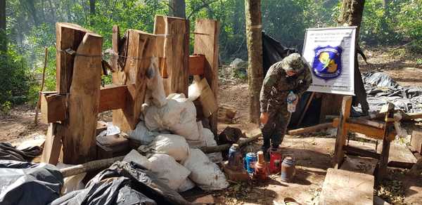 Destruyen 2 toneladas de marihuana en Yby Ya’u