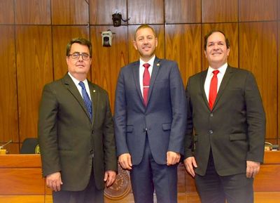 Bancadas de la ANR posicionan a Alliana en presidencia de Diputados