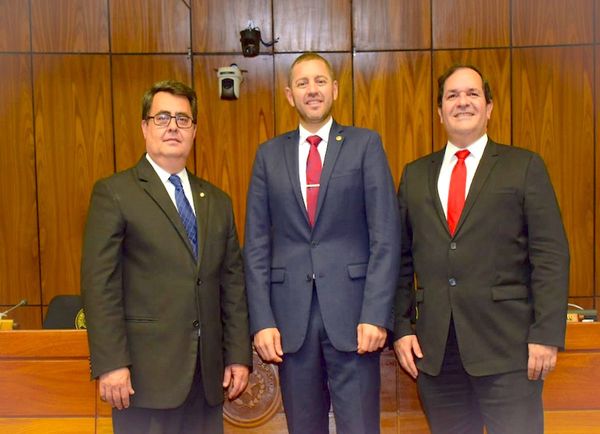 Bancadas de la ANR posicionan a Alliana en presidencia de Diputados