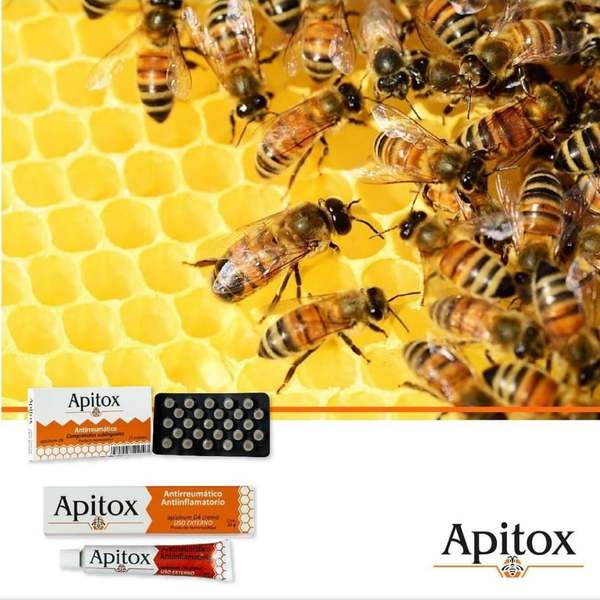 Apitox, el medicamento homeopático, natural, elaborado con veneno de abeja » Ñanduti