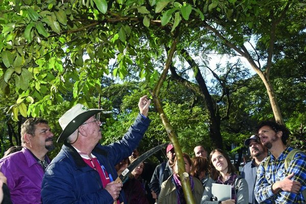 Árboles en plaza Italia - Edicion Impresa - ABC Color