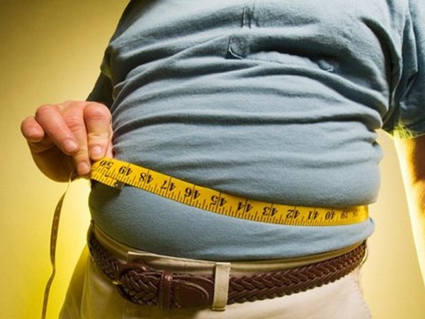 Descubren mecanismo celular para combatir la diabetes o la obesidad