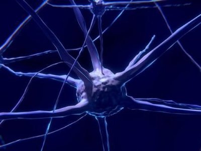Científicos desarrollan nuevo modelo para tratar autismo