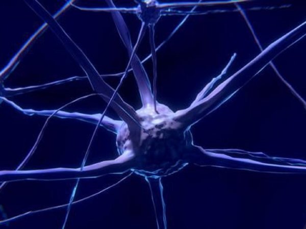 Científicos desarrollan nuevo modelo para tratar autismo