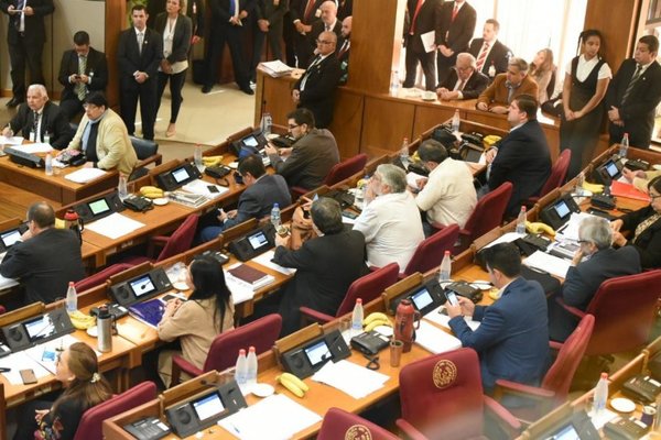 Eligen a Llano en el Senado - Nacionales - ABC Color