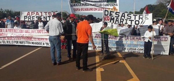 Prosigue la manifestación de productores de mandioca - ADN Paraguayo
