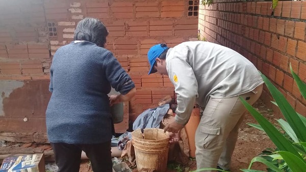 Dengue: Caaguazú con cerca de 1.000 casos sospechosos - ADN Paraguayo