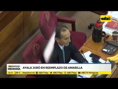 Ayala juró en reemplazo de Amarilla - Tv - ABC Color