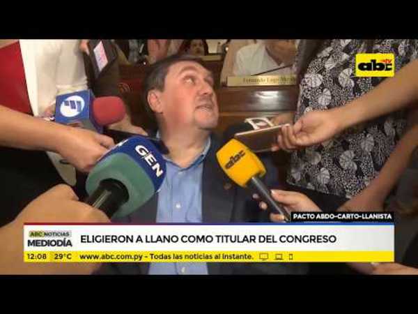 Eligieron a Llano como titular del Congreso - Tv - ABC Color