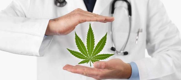 Dr. Mime sobre marihuana medicinal: "La gente sataniza al pedo" » Ñanduti