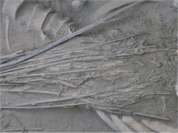 El cannabis se fumaba de forma ritual en China hace 2.500 años
