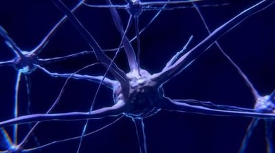 Desarrollan nuevo modelo para tratar autismo con sistema de edición de genes