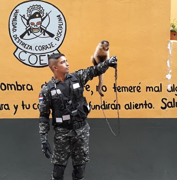 Lince presenta su nueva mascota y llueven las críticas | Noticias Paraguay
