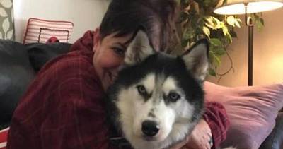 Perro salvó la vida a su dueña al detectarle cáncer | Noticias Paraguay