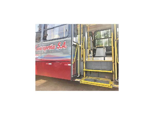 Habilitan buses inclusivos  que darán servicio hasta Caacupé