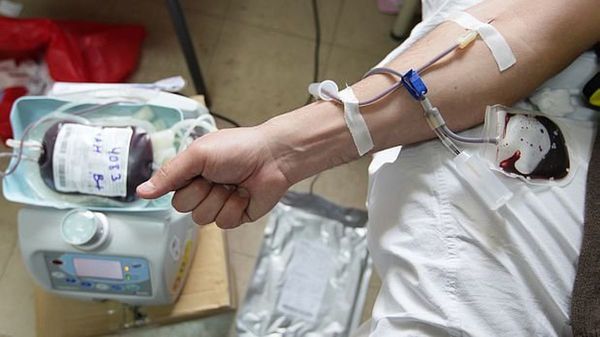 Sangre segura para todos en el Día Mundial del Donante