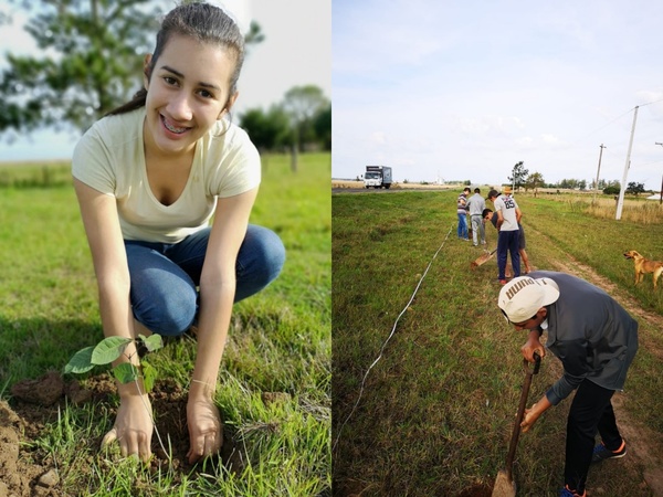 Jóvenes misioneros ya plantaron 1.000 arbolitos - Digital Misiones