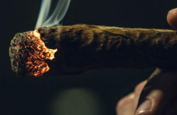 Descubren que hace 2.500 años nuestra especie ya fumaba marihuana - C9N