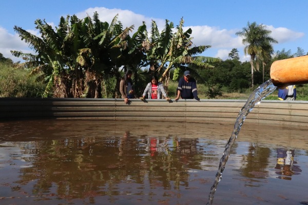 Grandes empresas comercializan la planta de stevia de Paraguay