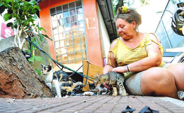 Deolinda, la “señora de los gatos” | Diario Vanguardia 11