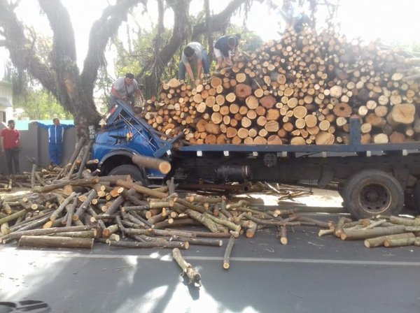 Camión embistió contra un árbol en Caacupé - Nacionales - ABC Color