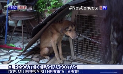 "Hago lo que nadie hace": Rescata a mascotas de la crecida | Noticias Paraguay