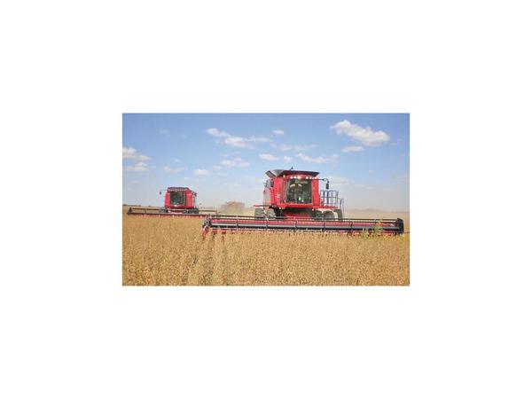 Agroindustrias accionarán si se elimina devolución del IVA