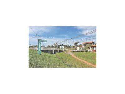 En Concepción, proyecto de colectora quedó en el olvido